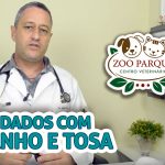 O Dr. Júlio aqui da Zoo Parque dá dicas sobre um serviço muito comum nos Pet Shops e que exige um pouco mais de atenção! O Banho e Tosa